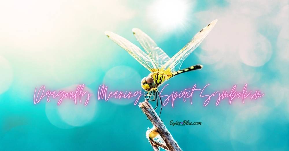 Dragonfly Meaning: Spirit Symbolism